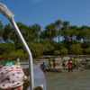 Green sea turtle monitors from Canhabaque Island. Image by Ricci Shryock for Mongabay.