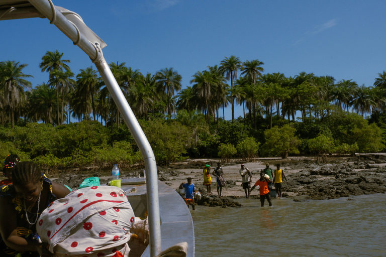Green sea turtle monitors from Canhabaque Island. Image by Ricci Shryock for Mongabay.