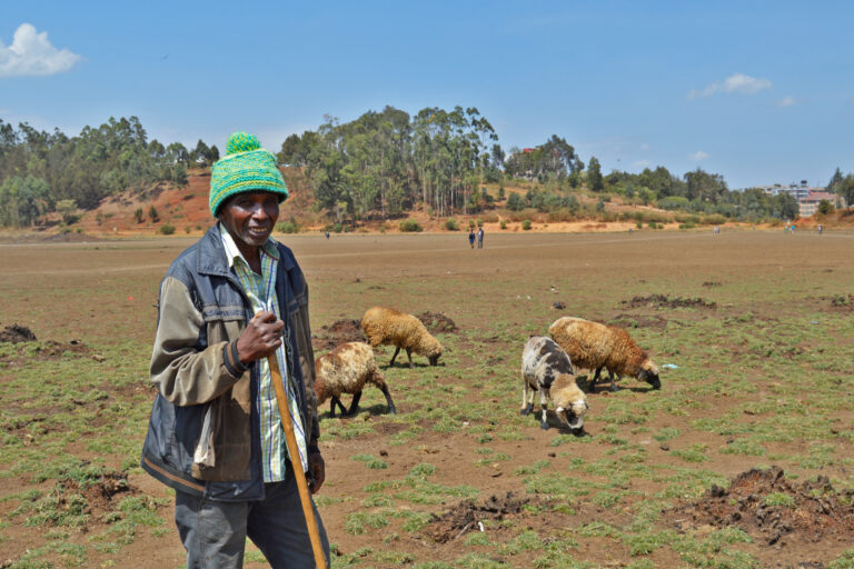 James Njuguna, a shepherd who lives near the Manguo swamp.