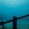 "Deregulated" depicts men in suits playing in a children’s playground as part of a series of sculptures by Jason deCaires Taylor installed in the sea near the Canary Islands.