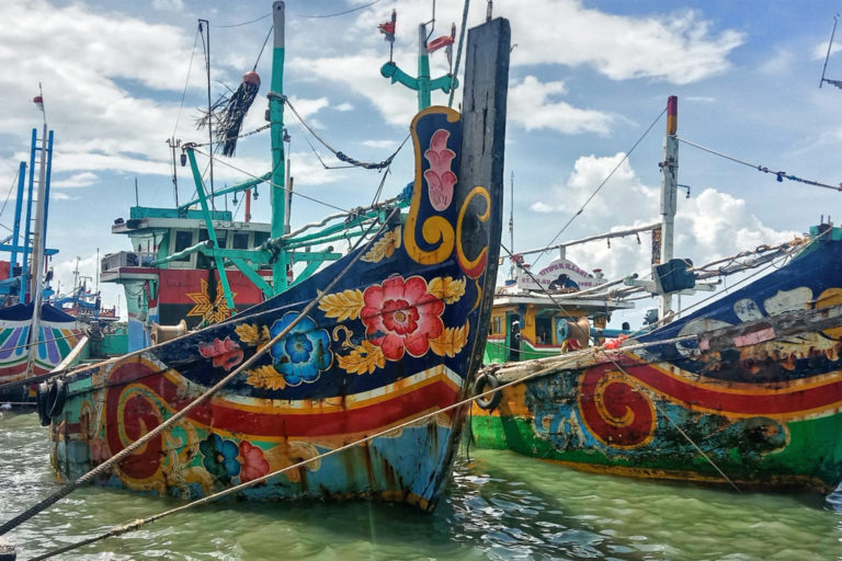 A crew of cantrang fishermen unload their cargo.