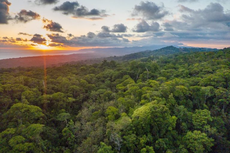 The Osa Peninsula in Costa Rica is an area of much conservation effort. Image courtesy of Osa Conservation.