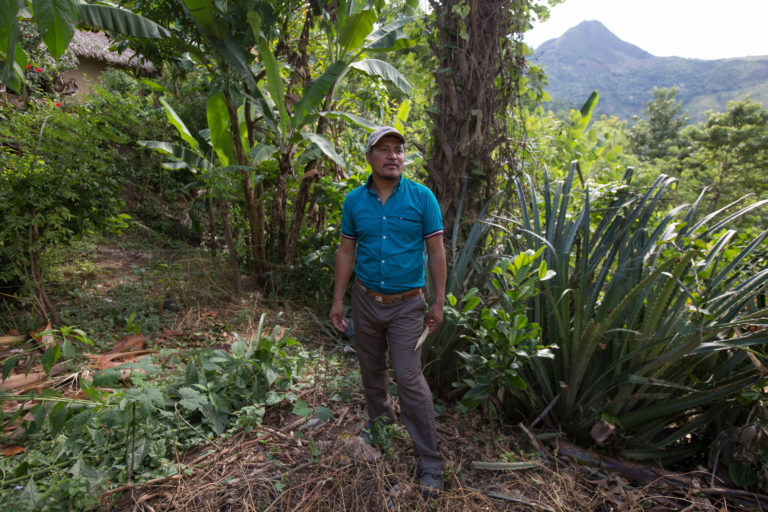 Maya Indigenous man farming