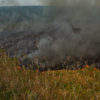 Aerial view of burned areas in the Amazon Rainforest.