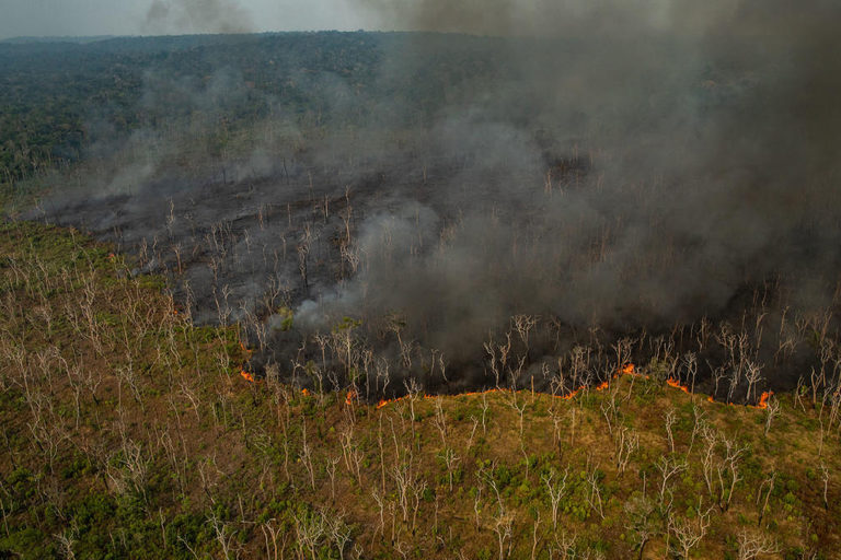 Aerial view of burned areas in the Amazon Rainforest.