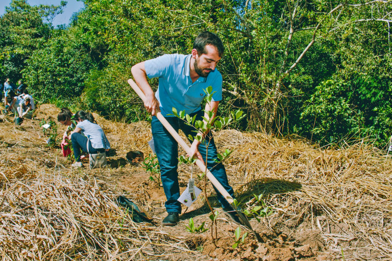 A man planting a tree.