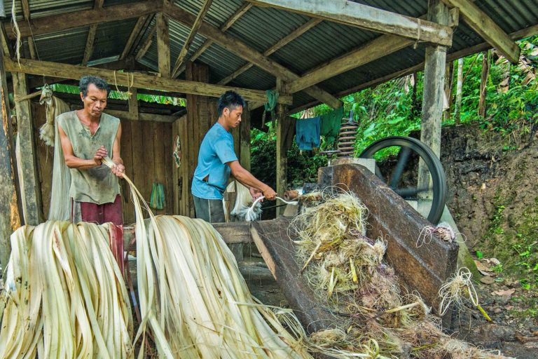 Men processing abacá fiber.