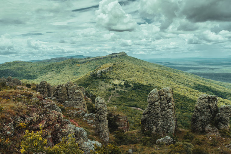 Tucabaca Wildlife Reserve in Roboré, Bolivia. Photo credit: Adro Molina