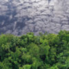 Clouds reflected in a lake in the Amazon Rainforest.