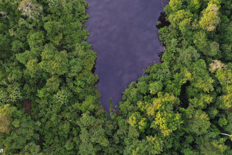 A blackwater oxbow lake in the Peruvian Amazon.