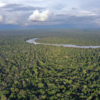The Amazon rainforest. Photo by Rhett A. Butler for Mongabay.