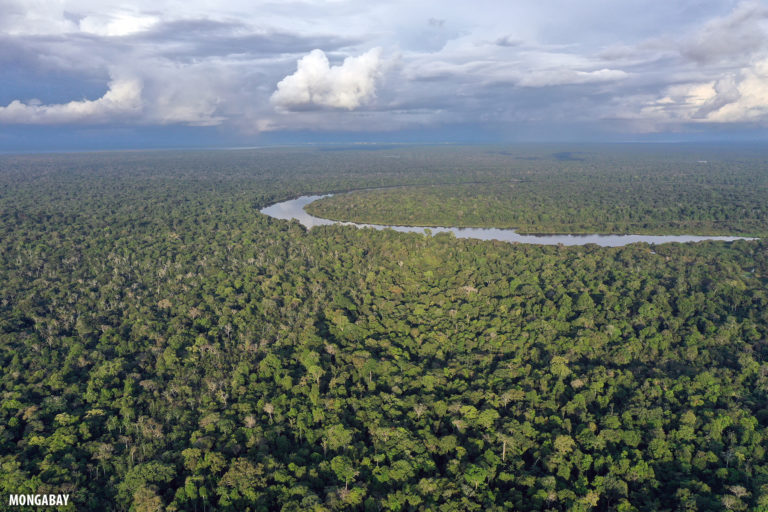 The Amazon rainforest. Photo by Rhett A. Butler for Mongabay.