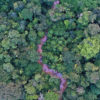 Rainforest creek in the Colombian Amazon. Image by Rhett A. Butler.