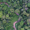 Rainforest creek in the Colombian Amazon. Photo by Rhett A. Butler for Mongabay.