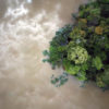 Flooded forest in the Amazon. Photo by Rhett A. Butler for Mongabay