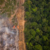 Sections of the Amazon Rainforest are set on fire by farmers to be cleared for agriculture.