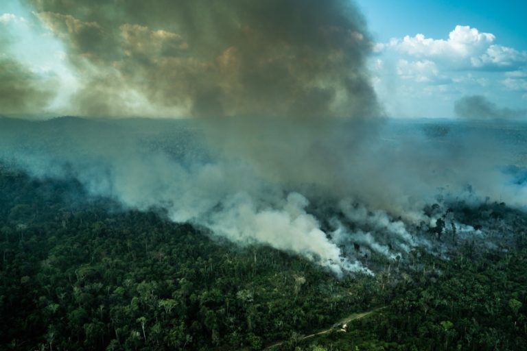 Burning forest in Rondonia in 2020. Photo credit: Fabio Nascimento