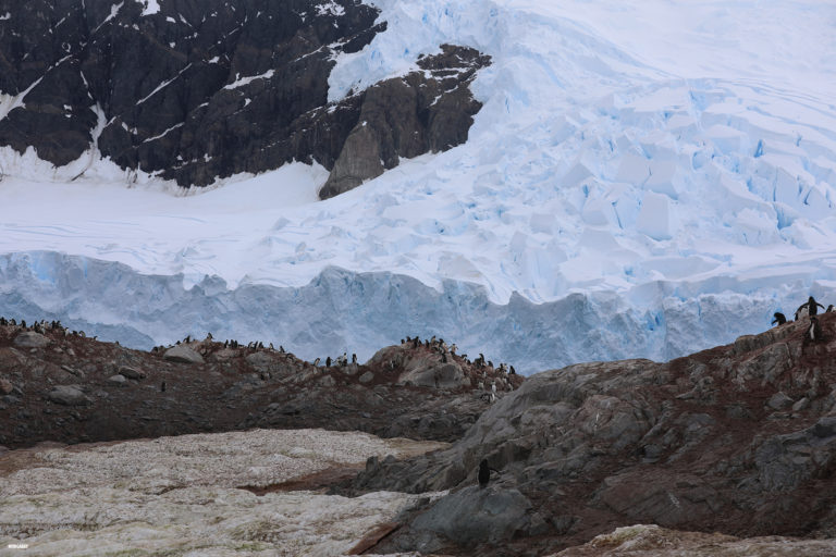 Glacier in Antarctica. Photo credit: N. Butler