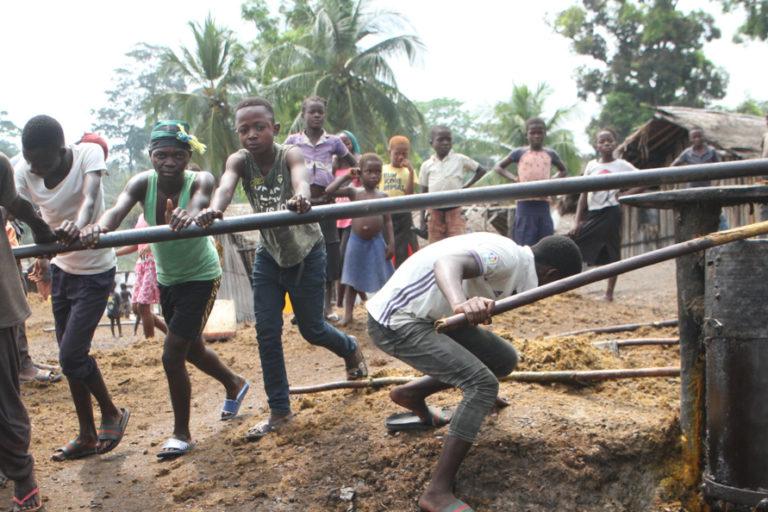 Banner image of an artisanal palm oil production in Yalifombo village. Image © Oskar Epelde courtesy of Oakland Institute.