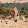 In sub-Saharan Africa 70% of the population lives from agriculture — and specifically rainfall agriculture.