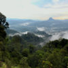 Forest in the Baram Peace Park area in November 2019. The Baram Peace Park – or Taman Damai Baram – is an Indigenous community-led initiative that aims to protect old-growth forest and traditional Indigenous lands in the upper Baram river basin near the border with Indonesia. Photo credit: The Borneo Project.