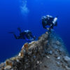Bikini Atoll coral diversity