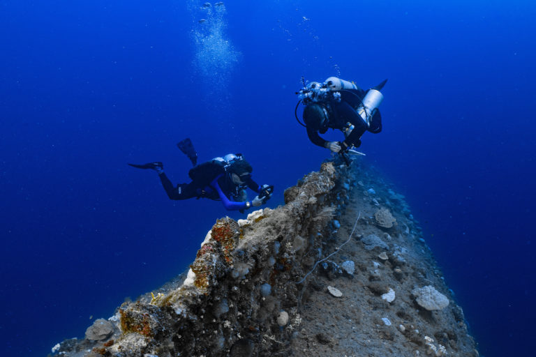 Bikini Atoll coral diversity