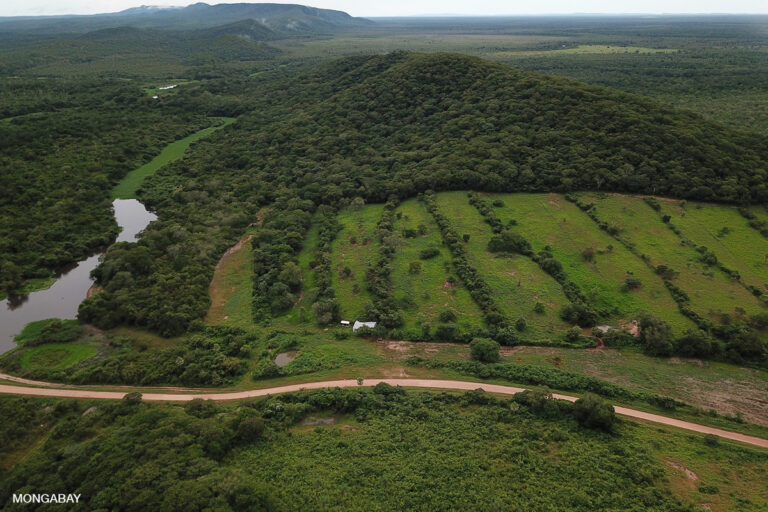 Cattle pastures and forest in San Miguelito, Bolivia, during 2019. Credit: Rhett A. Butler.