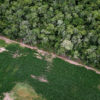 Soy and Chaco forest in Bolivia. Photo by Rhett A. Butler