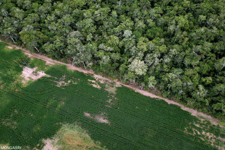 Soy and Chaco forest in Bolivia. Photo by Rhett A. Butler