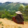 Forests of Bolivia.