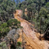 Deforestation in Borneo.