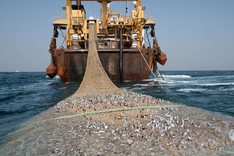 A Dutch super trawler pulling in the net.