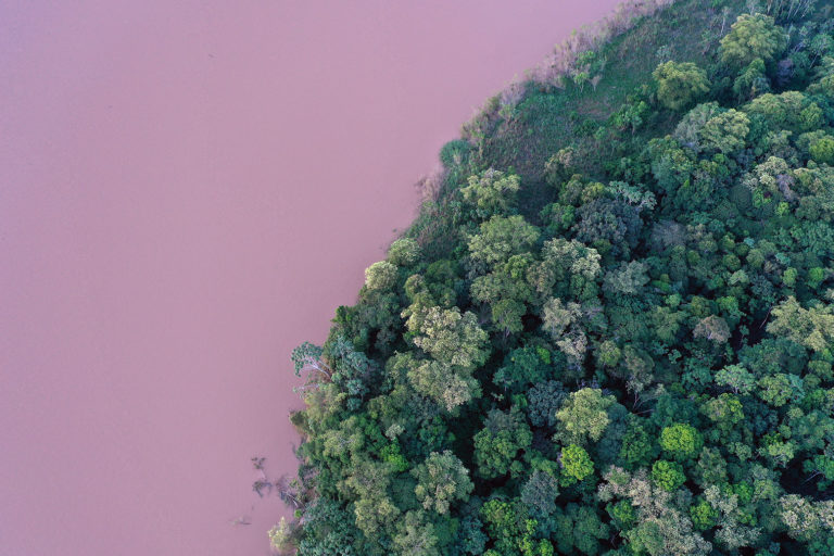 Amazon rainforest in Brazil.