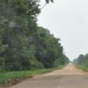 Image courtesy of Fernanda Meirelles, Idesam/ Observatório BR-319.
