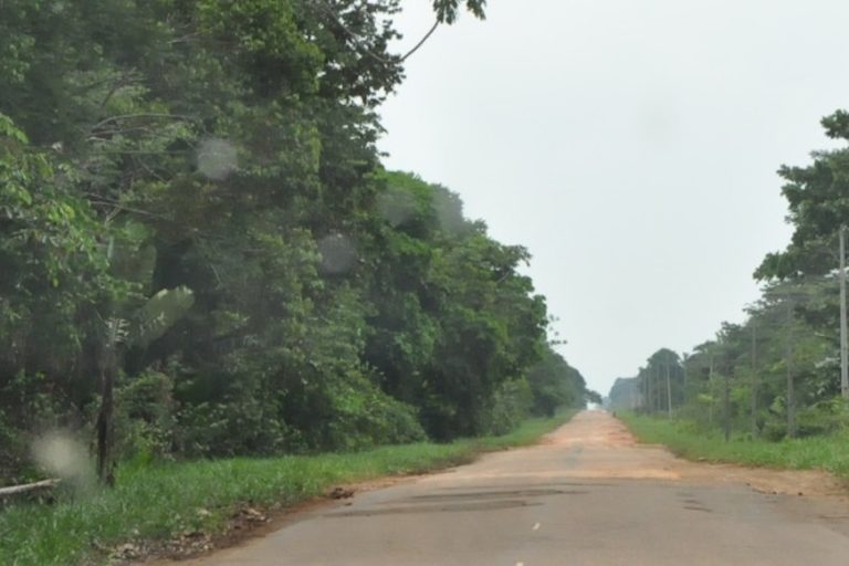 Image courtesy of Fernanda Meirelles, Idesam/ Observatório BR-319.
