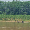 The banks of the Madeira River in the municipality of Porto Velho