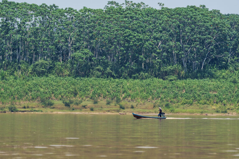 The banks of the Madeira River in the municipality of Porto Velho