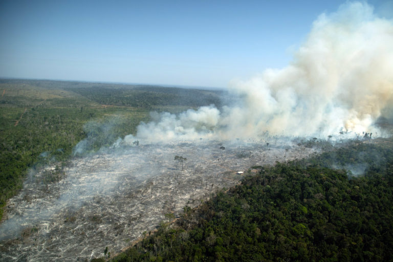 Recently deforested and burnt area in Porto Velho, Rondônia state July 29, 2021. Photo © Christian Braga / Greenpeace