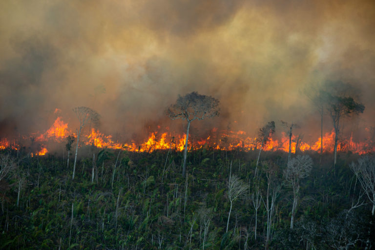 Fire line moves through a degraded forest area in an undesignated public forest area in Porto Velho, Rondônia on July 29, 2021. Photo © Christian Braga / Greenpeace