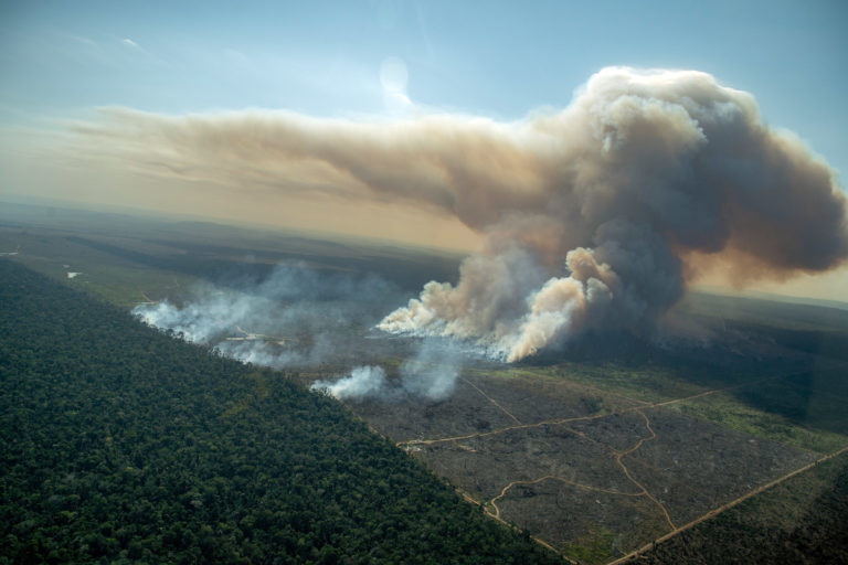 Forest fire in a deforested area in an undesignated public forest in Porto Velho, Rondônia on July 29, 2021. Photo © Christian Braga / Greenpeace