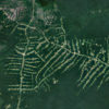 NASA Landsat image showing fishbone deforestation along roads in Sao Joao da Baliza, Roraima, Brazil in 2021.