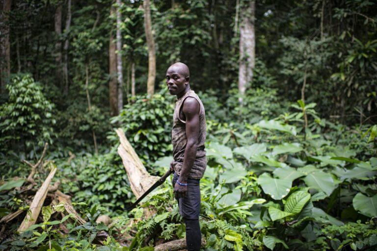 Man in the forest near village of Ngon, Ebolowa District, Cameroon. Ollivier Girard via Flickr (CC BY-NC-ND 2.0)