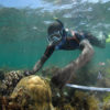 Measuring coral off the coast of East Africa. Photo credit: Cheryl-Samantha Owen / Save Our Seas Foundation