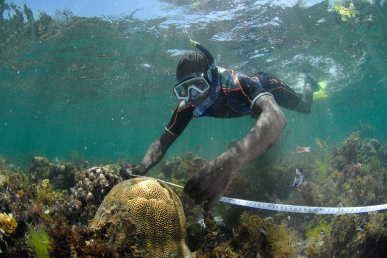 Measuring coral off the coast of East Africa. Photo credit: Cheryl-Samantha Owen / Save Our Seas Foundation