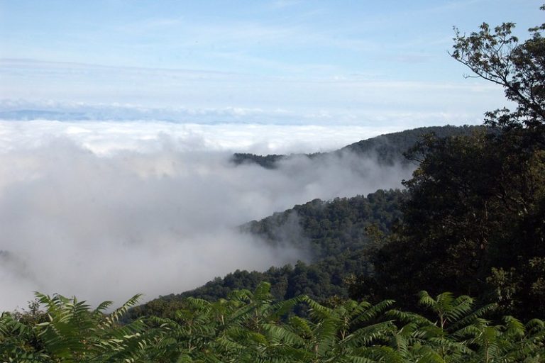 View of clouds above Shenandoan National Park in the Eastern United States. Photo by Mark Collins vis Flickr (CC BY 2.0)