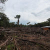 Small-scale deforestation in the Colombian Amazon. Photo by Rhett A. Butler/Mongabay.