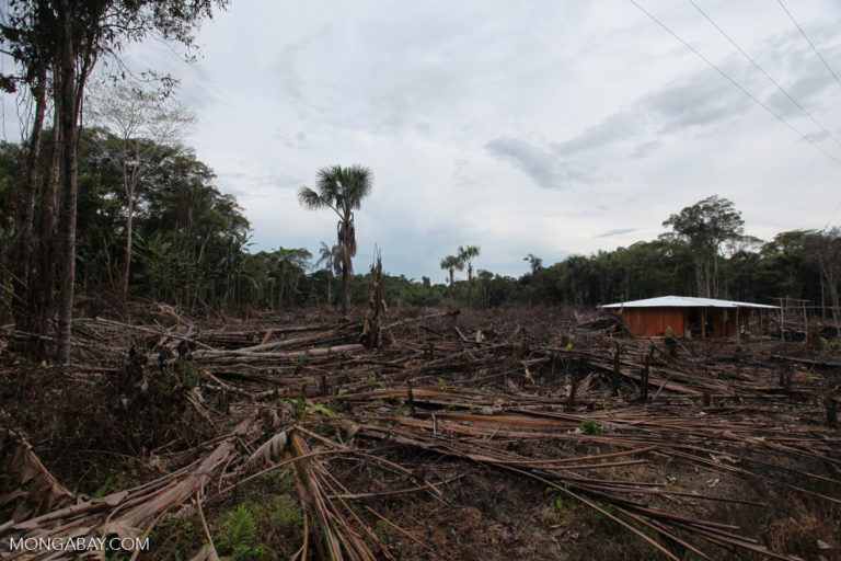 Small-scale deforestation in the Colombian Amazon. Photo by Rhett A. Butler/Mongabay.