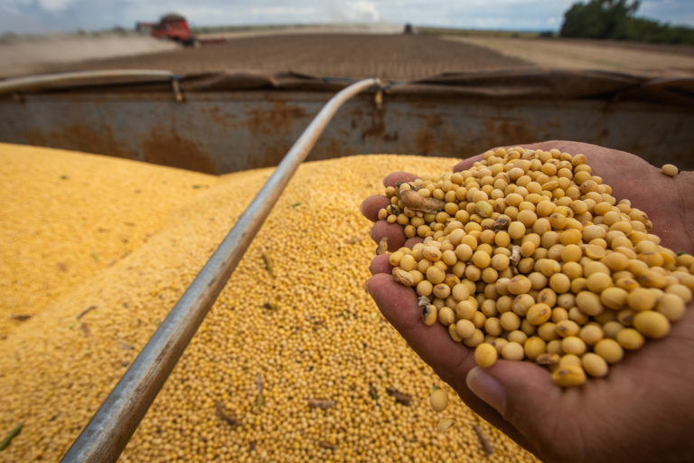 Soy and corn make up 88% of Brazil’s grain production