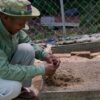 A REDD+-supported nursery at Keo Seima Wildlife Sanctuary in Cambodia. Image by John Cannon/Mongabay.